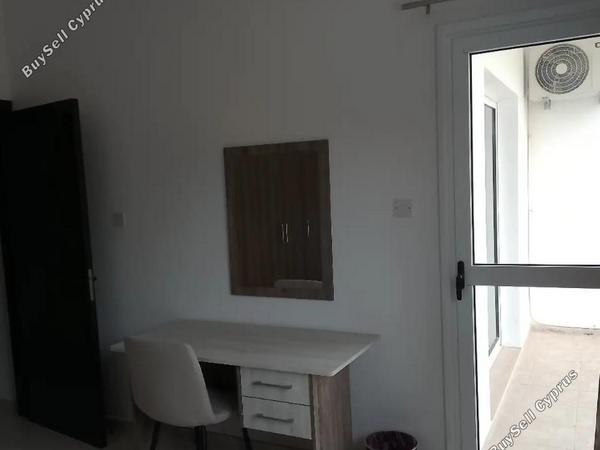 2 bedroom apartment for rent mesogi paphos 8598326 image 15744663