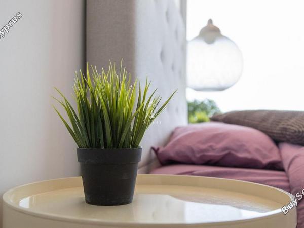2 bedroom apartment for rent potamos germasogeias limassol 8571326 image 16307952