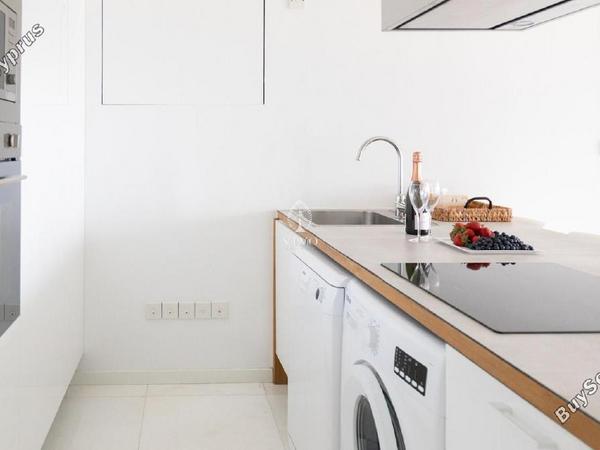 2 bedroom apartment for rent potamos germasogeias limassol 8571326 image 16307987