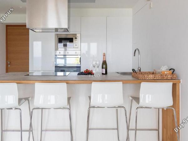 2 bedroom apartment for rent potamos germasogeias limassol 8571326 image 16308013