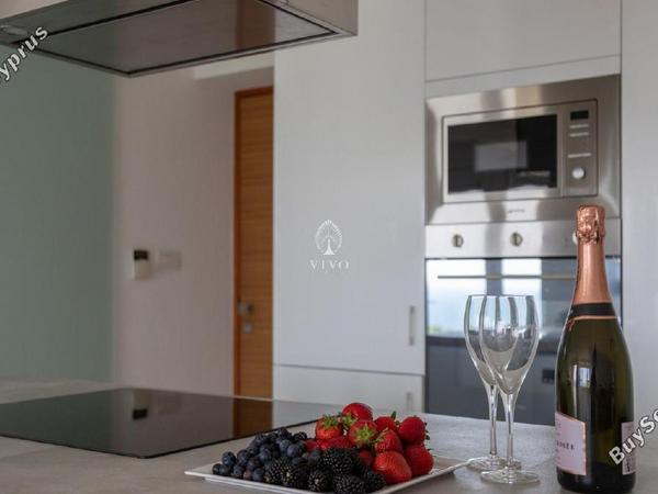 2 bedroom apartment for rent potamos germasogeias limassol 8571326 image 16308016