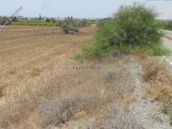 land for sale mazotos larnaca 1196326 image 6233147