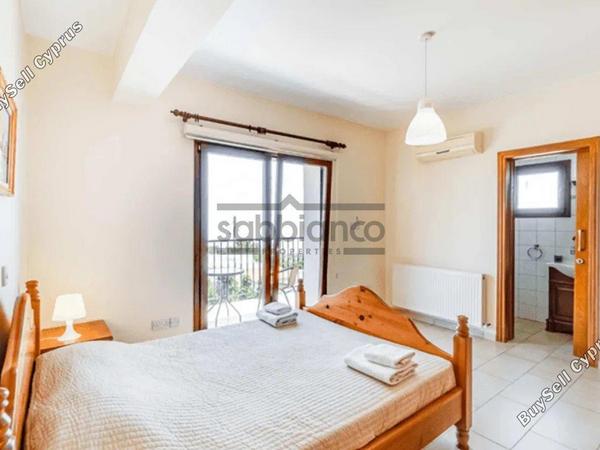 5 bedroom detached house for rent drousia paphos 8745426 image 16613534