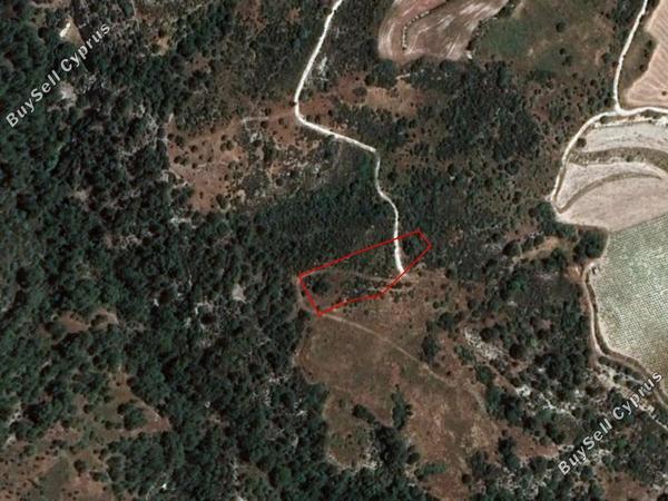 land for sale dora limassol 839426 image 5480529