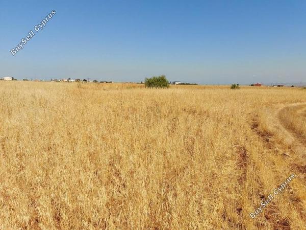 land for sale orounta nicosia 947426 image 15603282