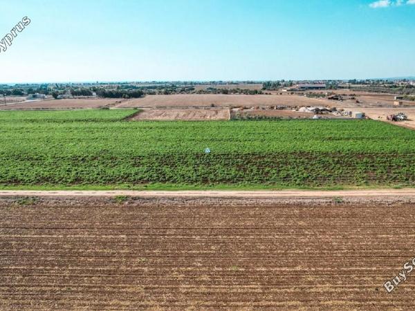 land for sale pervolia larnaca 1228426 image 5627194