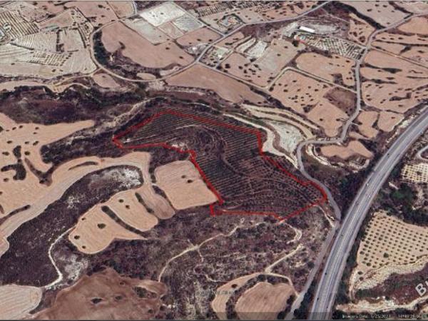 land for sale choirokoitia larnaca 1285526 image 5249704