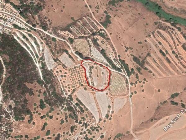 land for sale kallepeia paphos 8630526 image 16685615