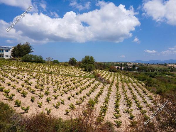 land for sale kathikas paphos 960526 image 15601632