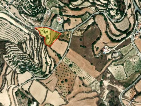 land for sale koili paphos 8645526 image 15938156