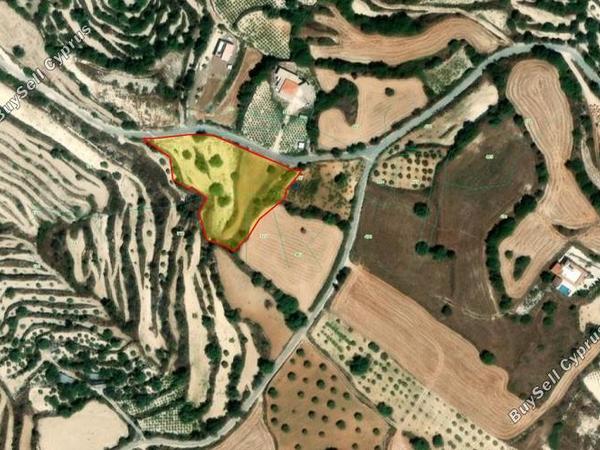 land for sale koili paphos 8645526 image 15938157