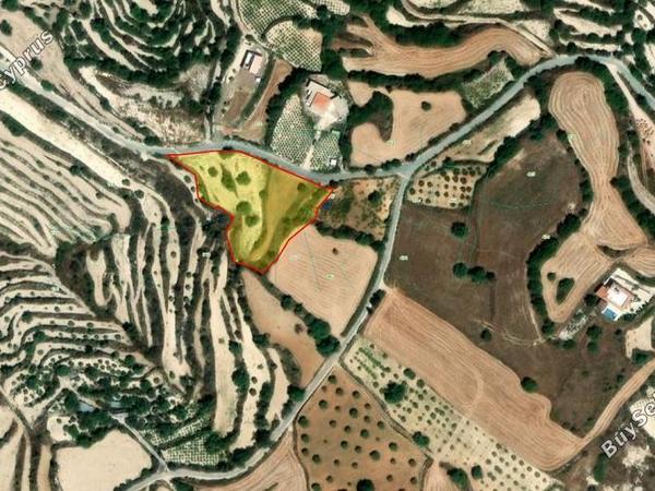 land for sale koili paphos 8645526 image 15938159