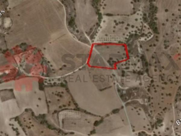 land for sale mazotos larnaca 7921526 image 11218672