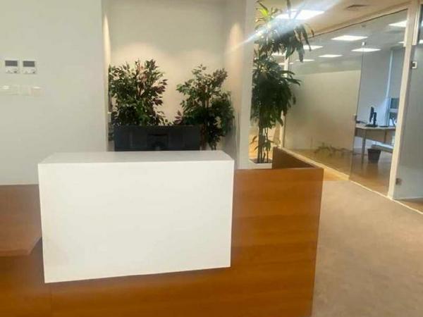 studio office for rent egkomi nicosia 8863526 image 17168327