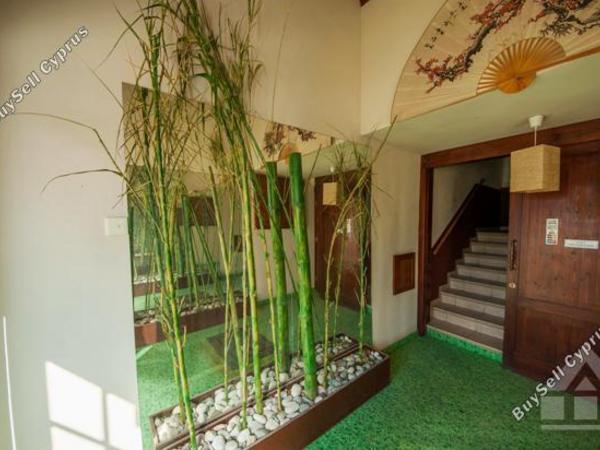studio shop for sale dekeleia larnaca 7906526 image 16719805
