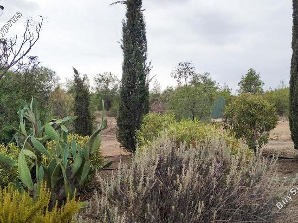 4 bedroom detached house for sale mosfiloti larnaca 8322626 image 14244717