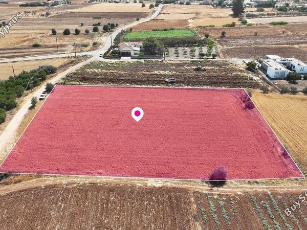 land for sale peristerona lefkosias nicosia 8156626 image 13484666