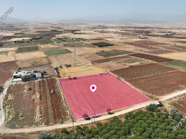 land for sale peristerona lefkosias nicosia 8156626 image 13484668