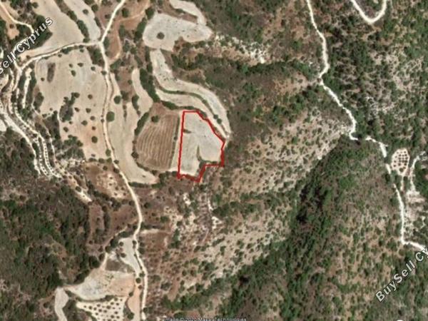 land for sale amargeti paphos 8630726 image 15873973