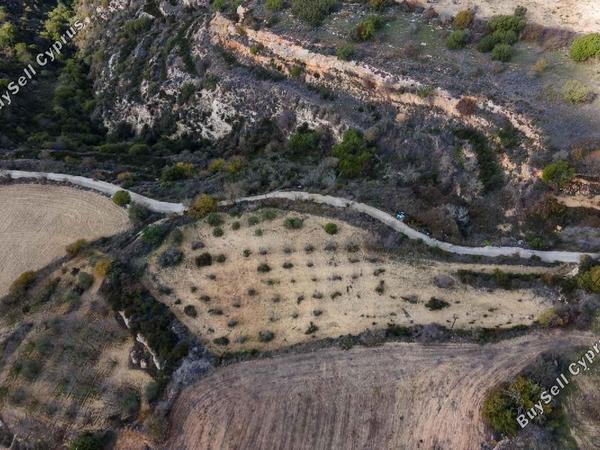 plot for sale koili paphos 1633726 image 6206818