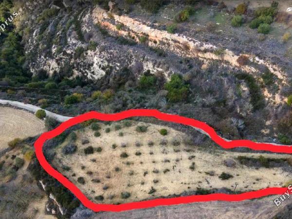 plot for sale koili paphos 1633726 image 6206830