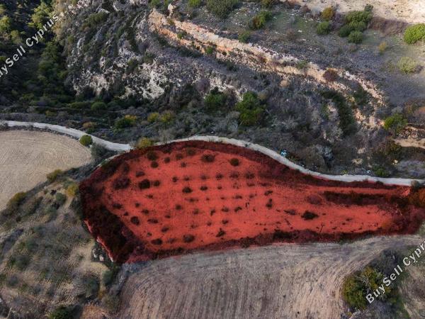 plot for sale koili paphos 1633726 image 6206832