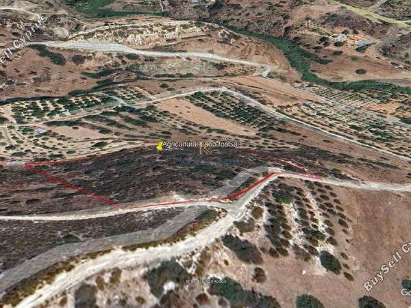 land for sale akrounta limassol 1608826 image 5703703