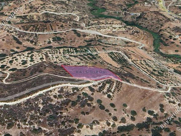 land for sale akrounta limassol 1608826 image 5703706