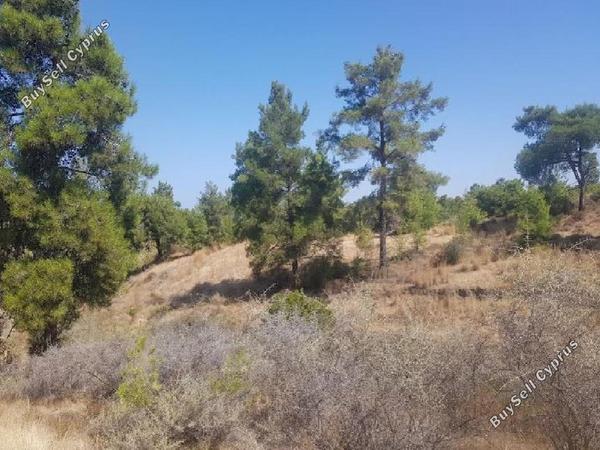 land for sale katydata nicosia 945826 image 3339450