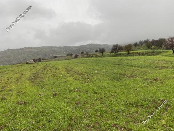 land for sale kelokedara paphos 839826 image 9904705