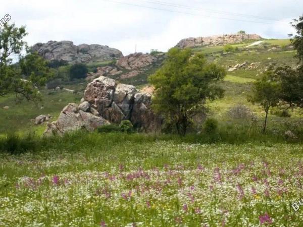 plot for sale ineia paphos 8749826 image 16479160