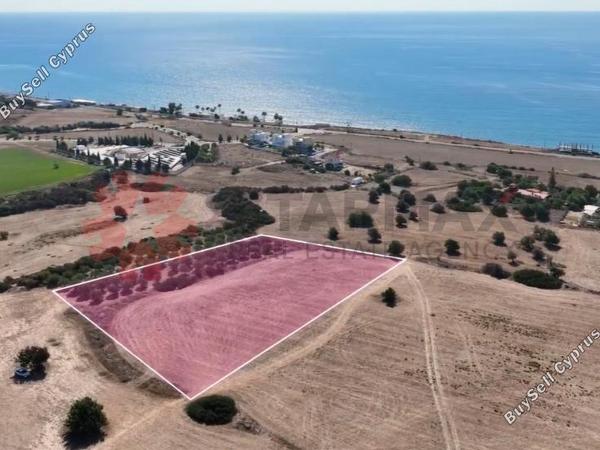 land for sale agios theodoros larnacas larnaca 1646926 image 14492445