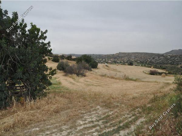 land for sale tochni larnaca 8311926 image 14157031