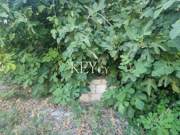 4 bedroom detached house for sale kritou marottou paphos 8941036 image 17668751