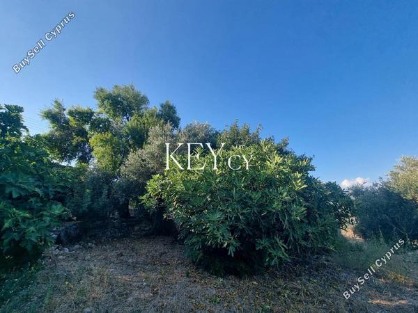 4 bedroom detached house for sale kritou marottou paphos 8941036 image 17668754