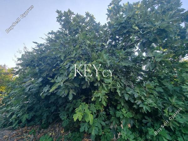 4 bedroom detached house for sale kritou marottou paphos 8941036 image 17668755