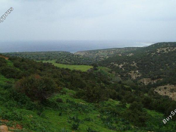 6 bedroom detached house for sale saint george peyia paphos 1685036 image 4408002