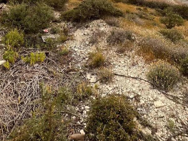 land for sale agios tychonas limassol 1075036 image 1922058