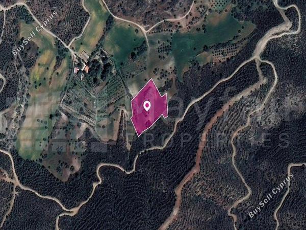 land for sale kofinou larnaca 7872036 image 11383914