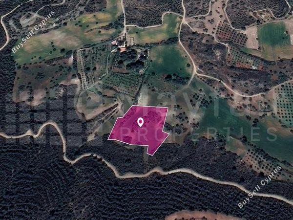 land for sale kofinou larnaca 7872036 image 11383916