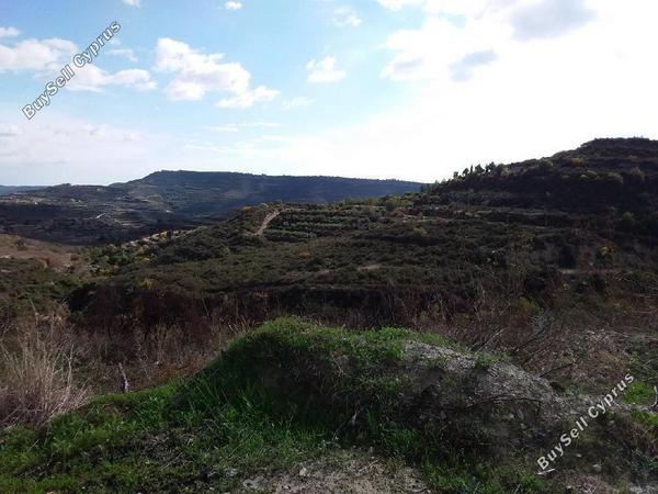 land for sale pachna limassol 8630036 image 16656593