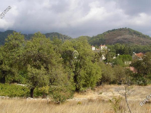land for sale pera pedi limassol 7940036 image 11310043