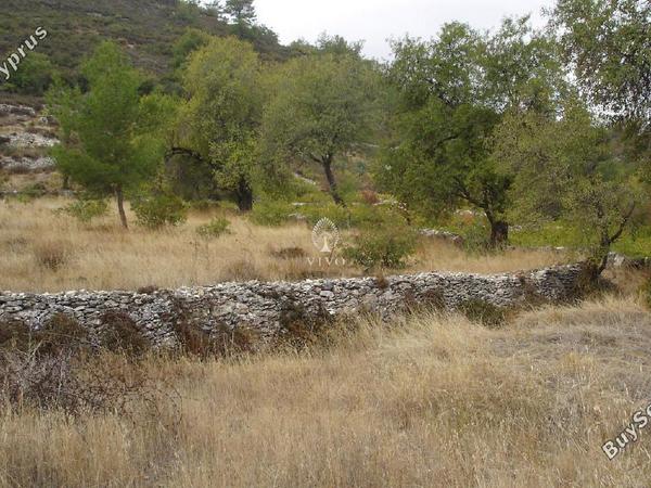 land for sale pera pedi limassol 7940036 image 11310044
