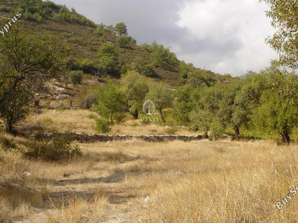 land for sale pera pedi limassol 7940036 image 11310045