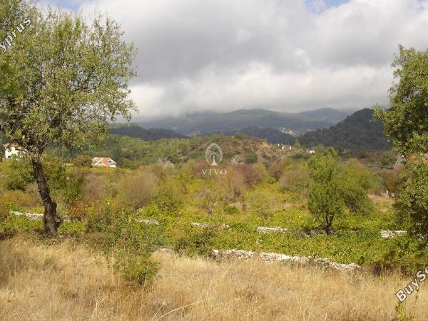 land for sale pera pedi limassol 7940036 image 11310046