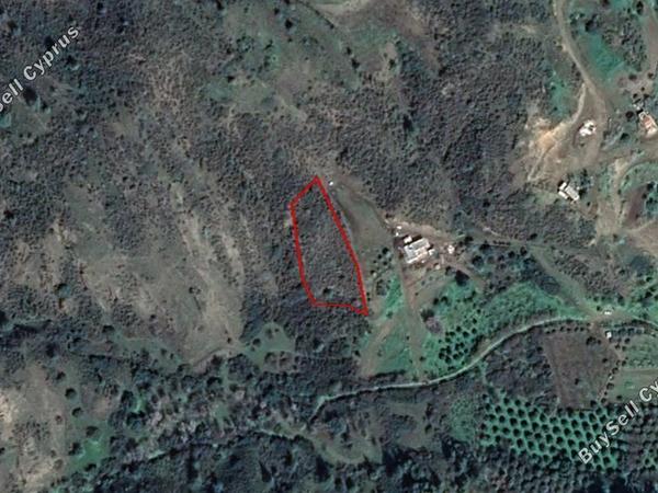 land for sale pigenia nicosia 830036 image 15664172