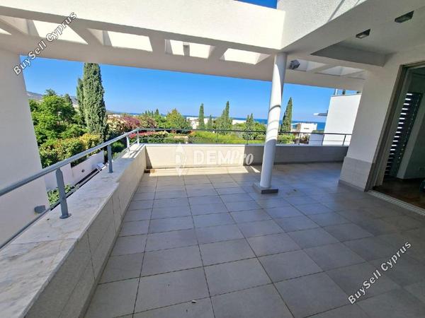 4 bedroom detached house for sale latsi paphos 7812136 image 12687481