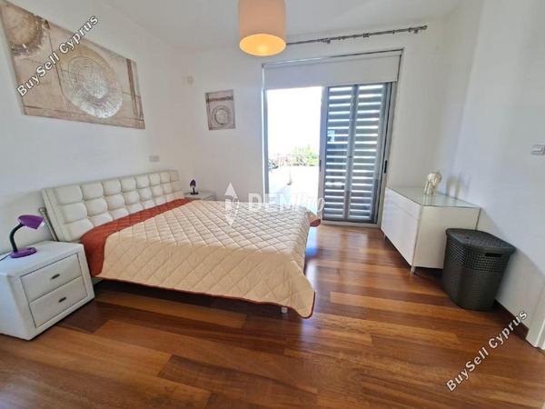 4 bedroom detached house for sale latsi paphos 7812136 image 12687543