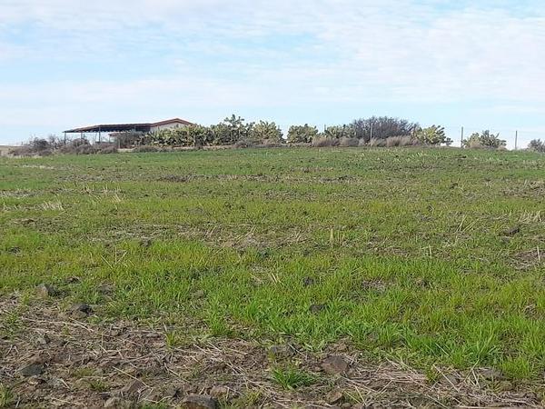 land for sale mitsero nicosia 1589136 image 16176843