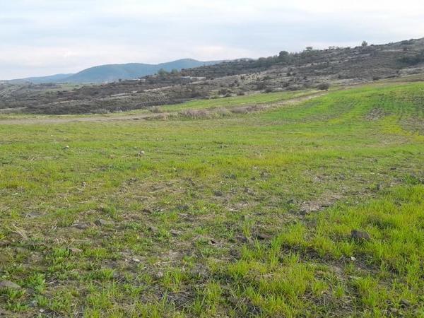 land for sale mitsero nicosia 1589136 image 16176847